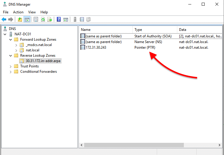 DNS Manager / Pointer (PTR)