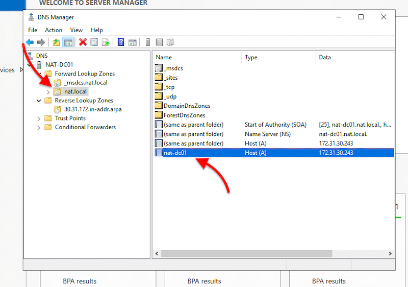 Welcome to Server Manager / nat.local