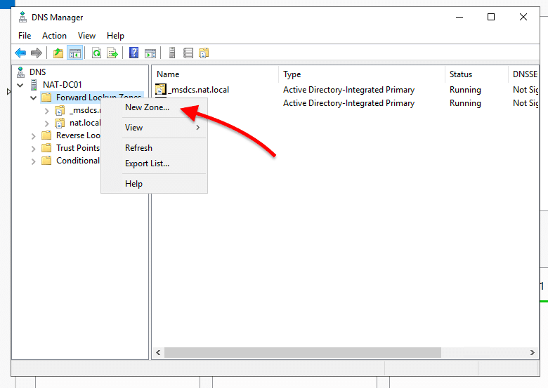 DNS Manager / Forward Lookup Zones / New Zone