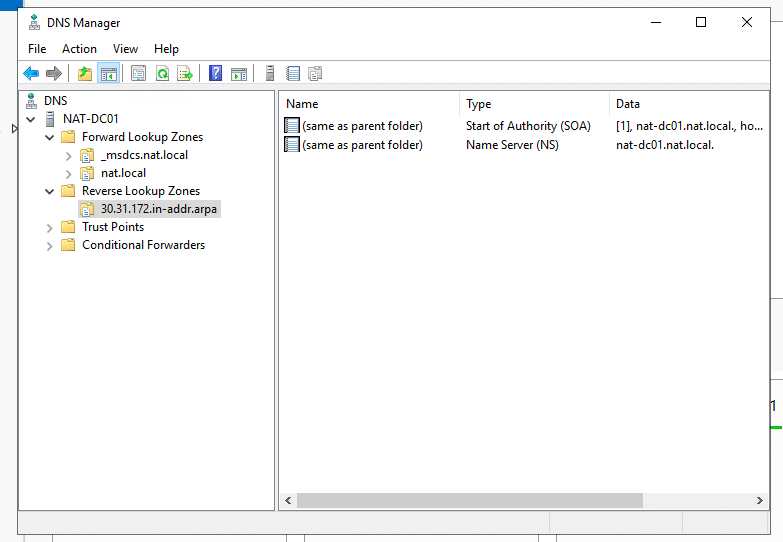 DNS Manager