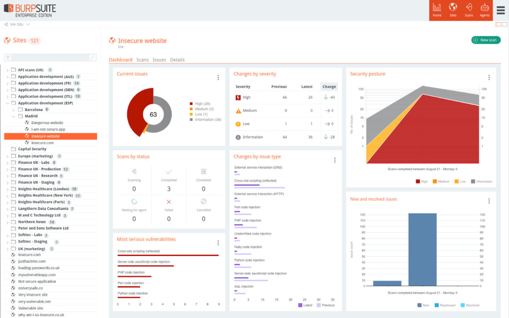Burp Suite Dashboard