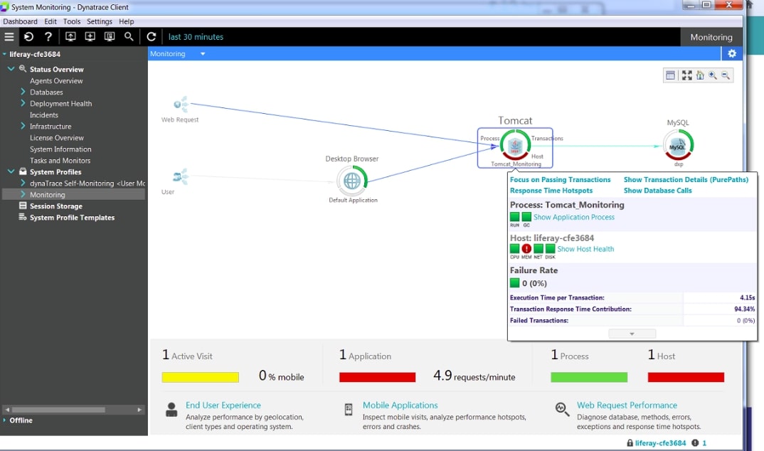 Dynatrace application performance monitoring