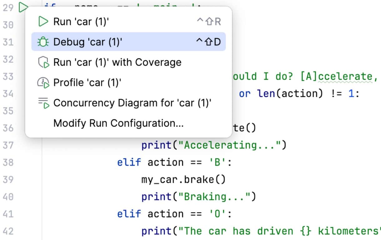 Jetbrains Pycharm python debug