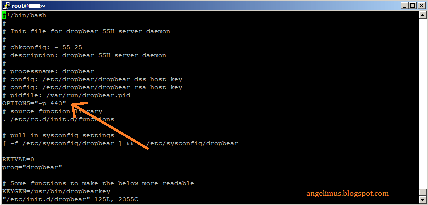 Dropbear SSH
