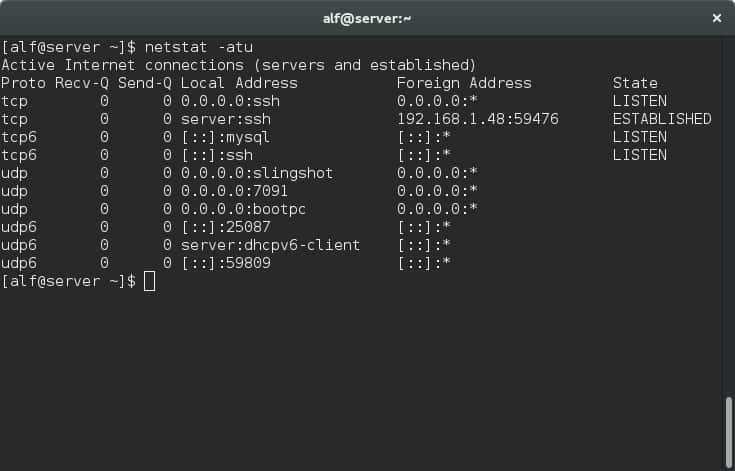 netstat