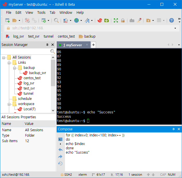 Myserver. Myserver. Myserver. Wildcard-запись. Xshell 6.